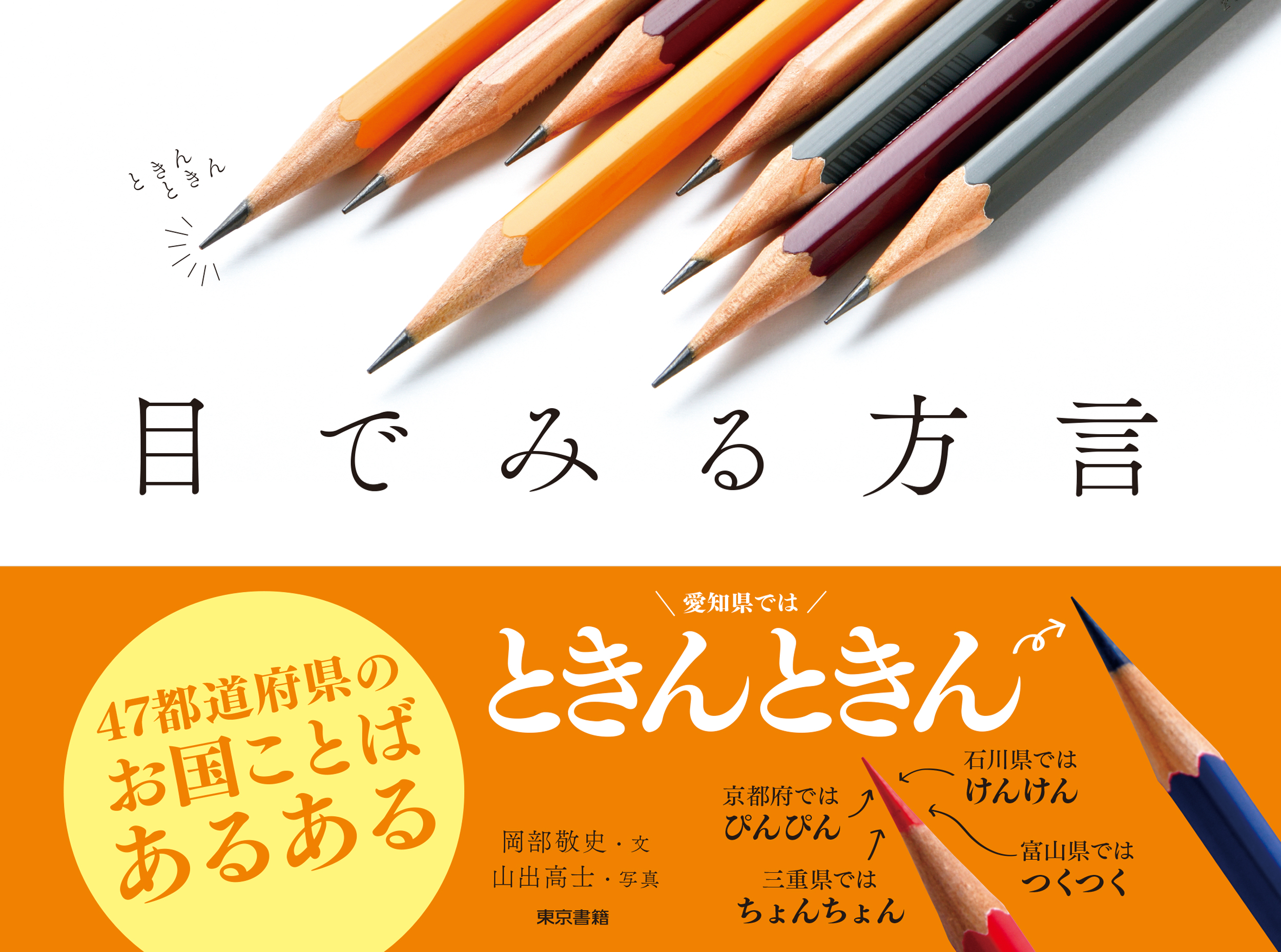 【中学校部門】8類、9784487816293『目でみる方言』東京書籍