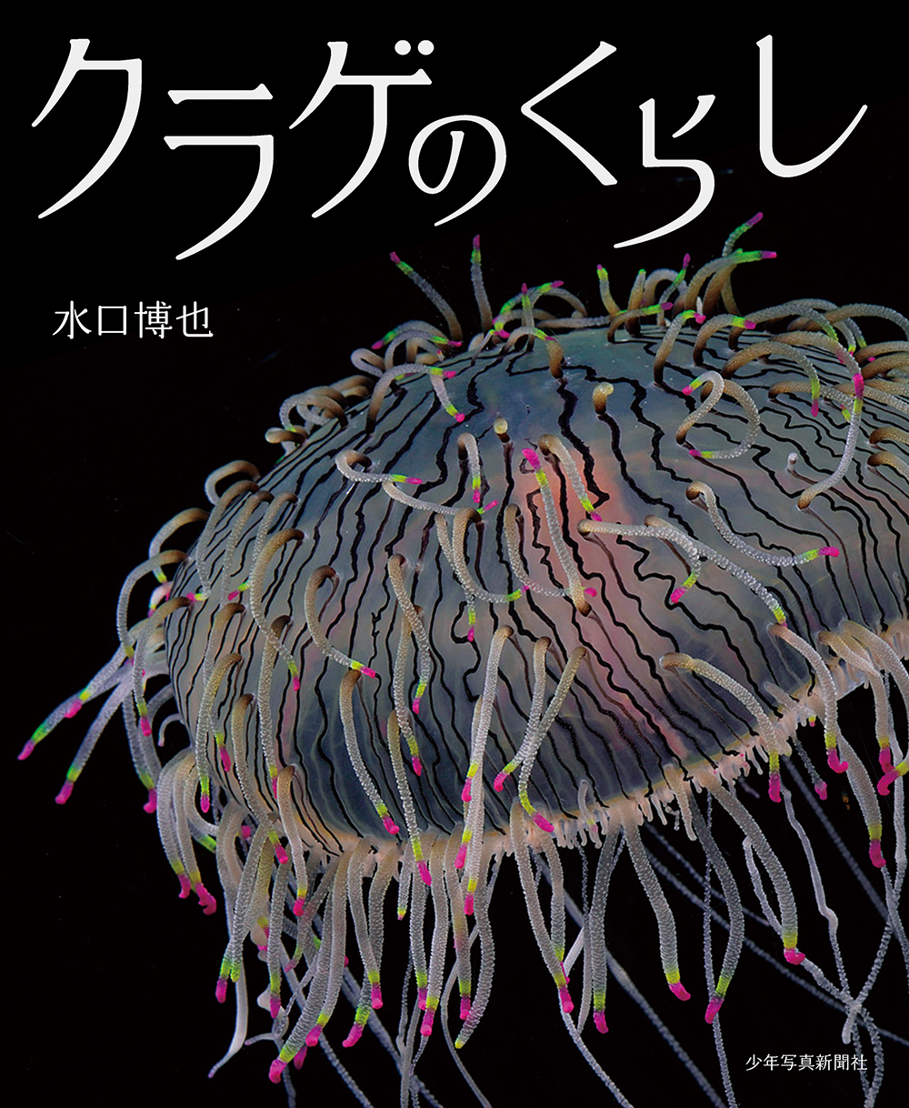 【小学校部門】4類、9784879818027『クラゲのくらし』少年写真新聞社