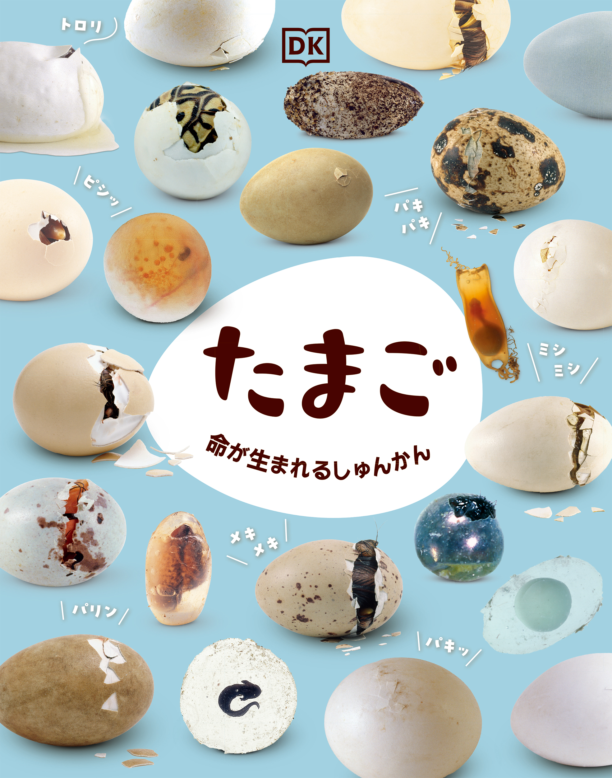 【小学校部門】4類、9784776411147『たまご』ＢＬ出版