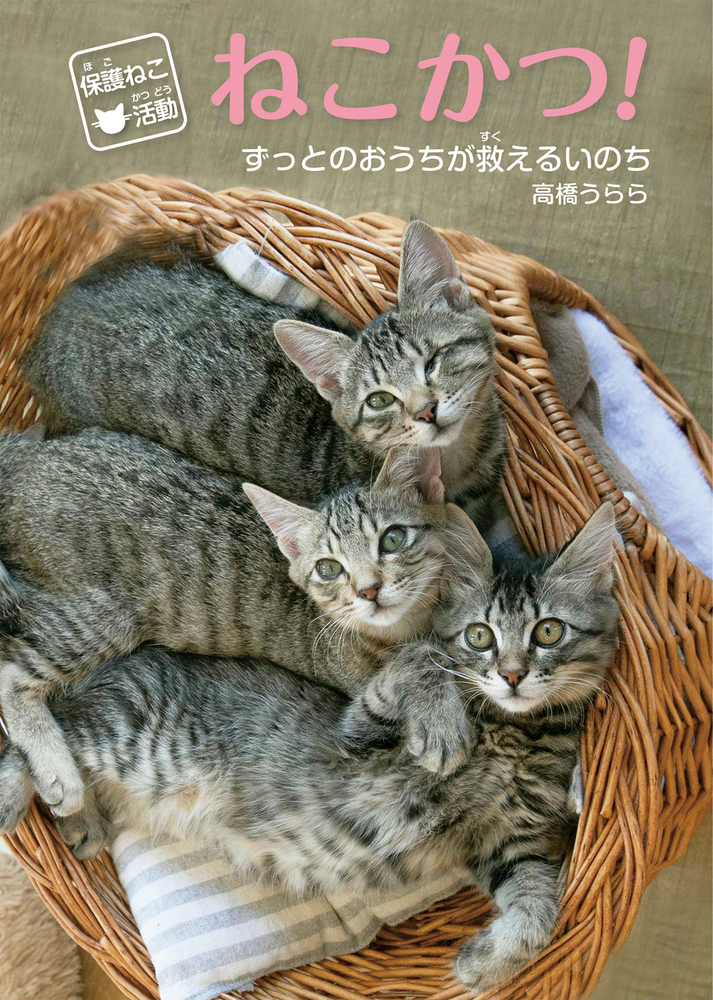 【小学校部門】6類、9784265840328『保護ねこ活動ねこかつ！』岩崎書店