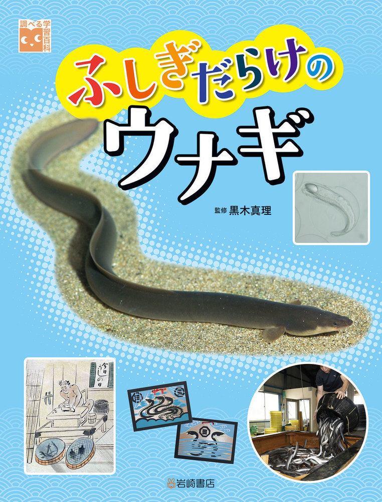 【小学校部門】6類、9784265086665『ふしぎだらけのウナギ』岩崎書店