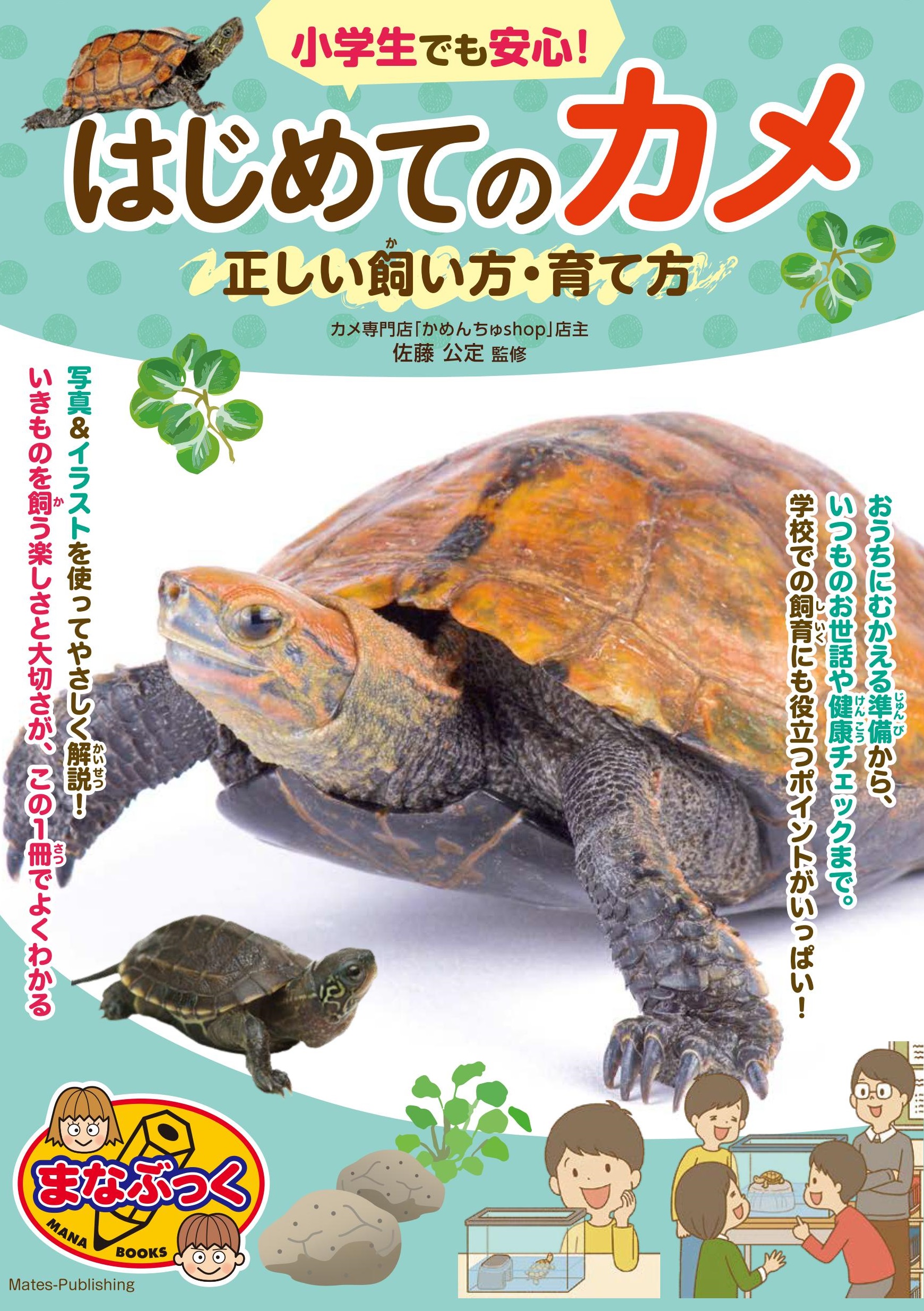 【小学校部門】6類、9784780427998『小学生でも安心！はじめてのカメ正しい飼い方・育て方』メイツユニバーサルコンテンツ