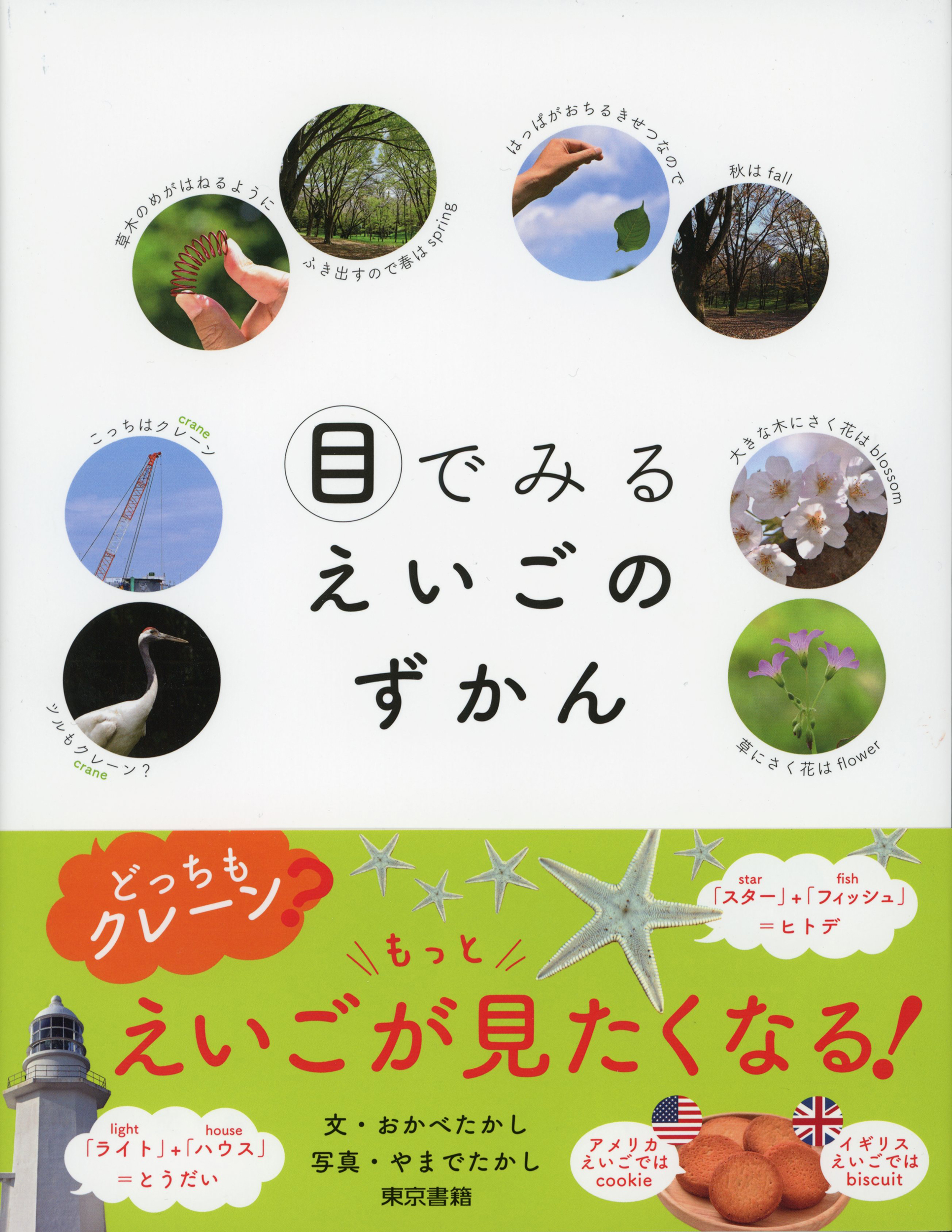 【小学校部門】8類、9784487817122『目でみるえいごのずかん』東京書籍
